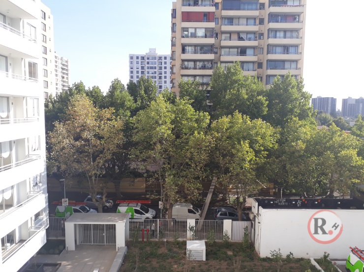 foto1